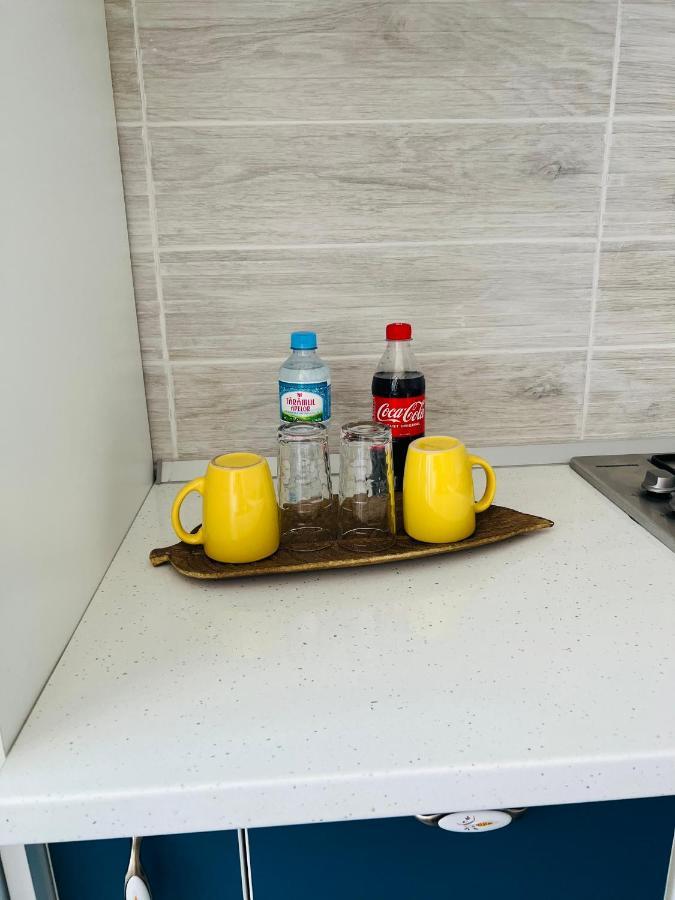 Miha modern&central apartament Arad Luaran gambar