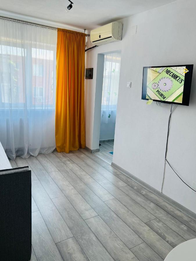 Miha modern&central apartament Arad Luaran gambar